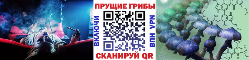 Купить где Алупка Галлюциногенные грибы GOLDEN TEACHER